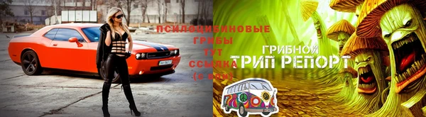 марихуана Заводоуковск